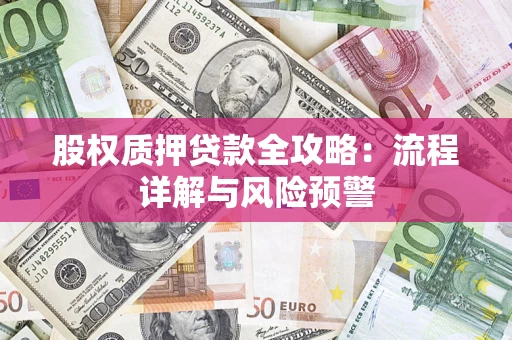 北京股权质押贷款全攻略：流程详解与风险预警
