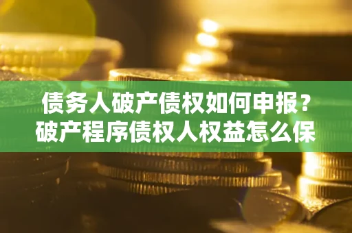 北京债务人破产债权如何申报？破产程序债权人权益怎么保障？