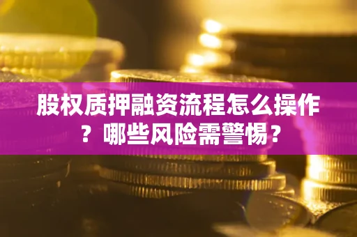 北京股权质押融资流程怎么操作？哪些风险需警惕？