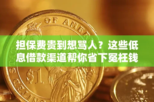 北京担保费贵到想骂人？这些低息借款渠道帮你省下冤枉钱