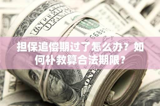 北京担保追偿期过了怎么办？如何补救算合法期限？