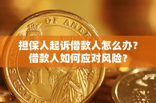 北京担保人起诉借款人怎么办？借款人如何应对风险？